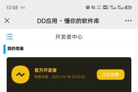 DD应用系统软件库网站源码