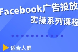 Facebook全系列投放实操详解，带您由浅入深提升Facebook运营和广告优化技能